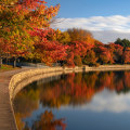 The Changing Political Landscape of Northern Virginia